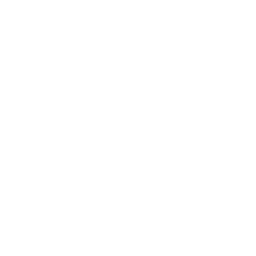 Apple Pay